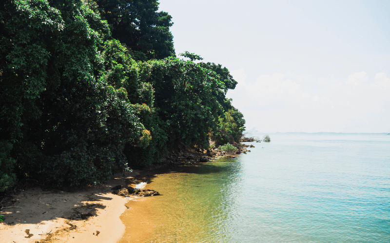 An image of Lazarus Island