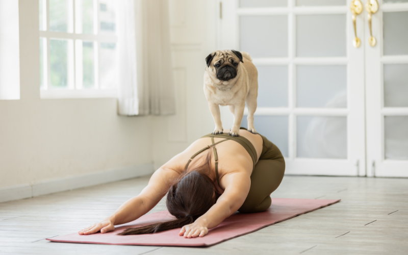 Image of a person doing a yoga pose with a puppy on top of them