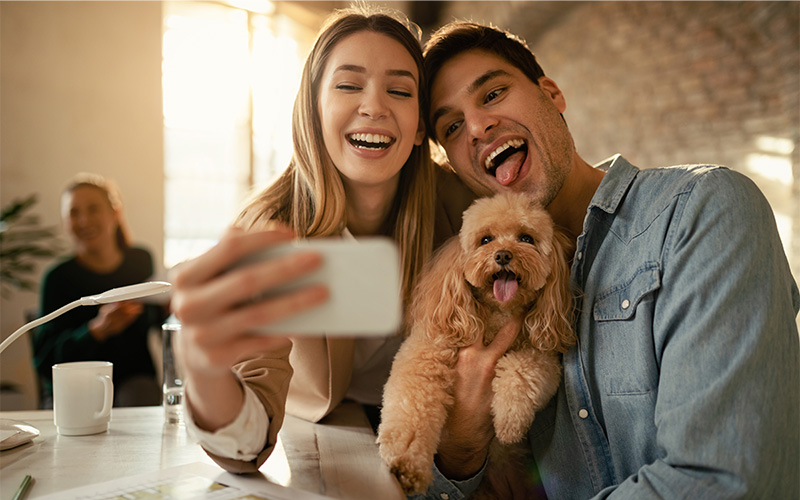 A stock photo of tourists taking selfies with in-house dogs.