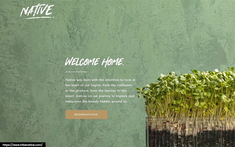 An image of Native’s website.