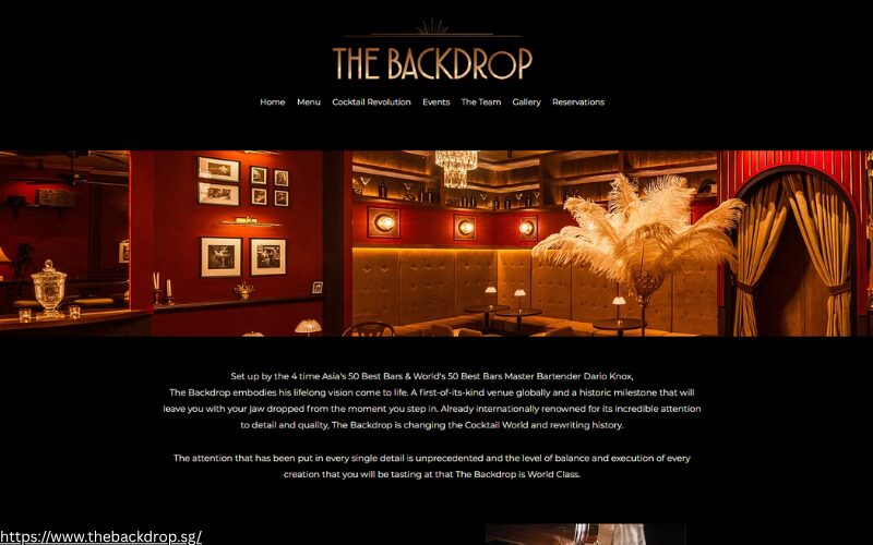 A screenshot of the website of The Backdrop