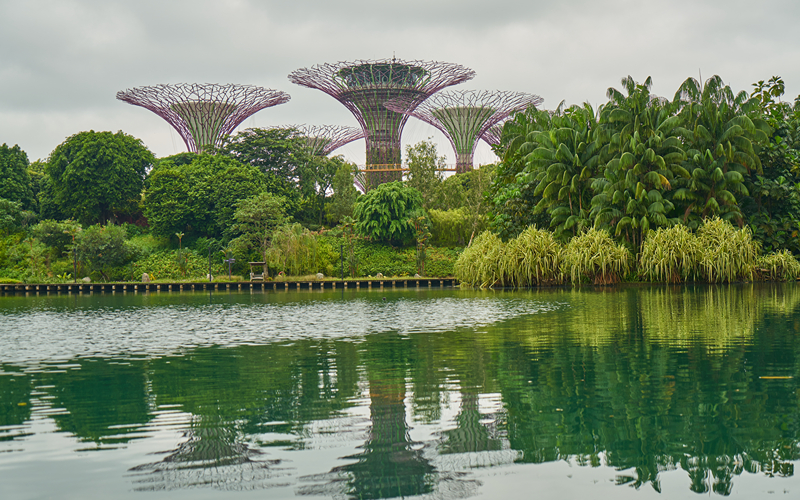 An image of Active Garden at Gardens by the Bay
