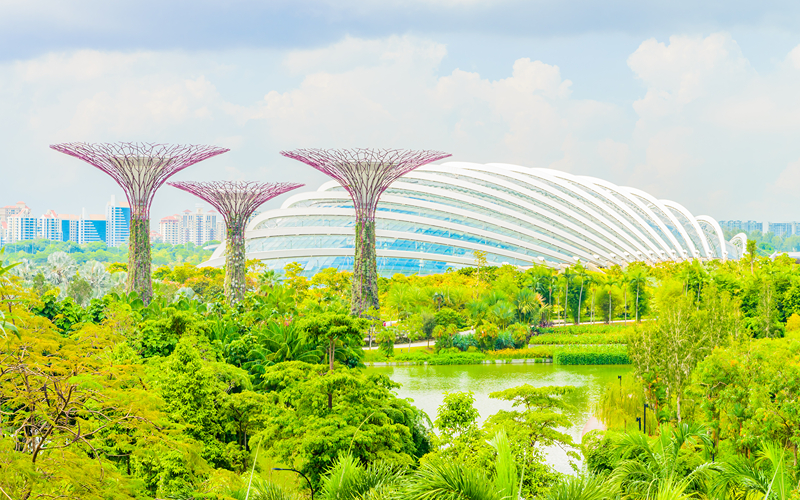 An image of ActiveSG Park