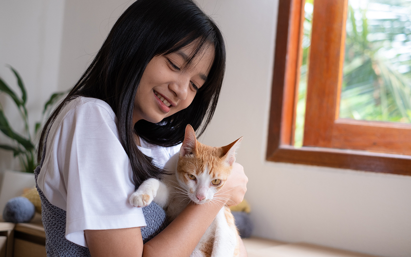 A cat and a pet-owner