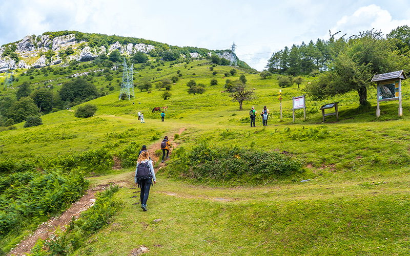 a spacious community green fields with people