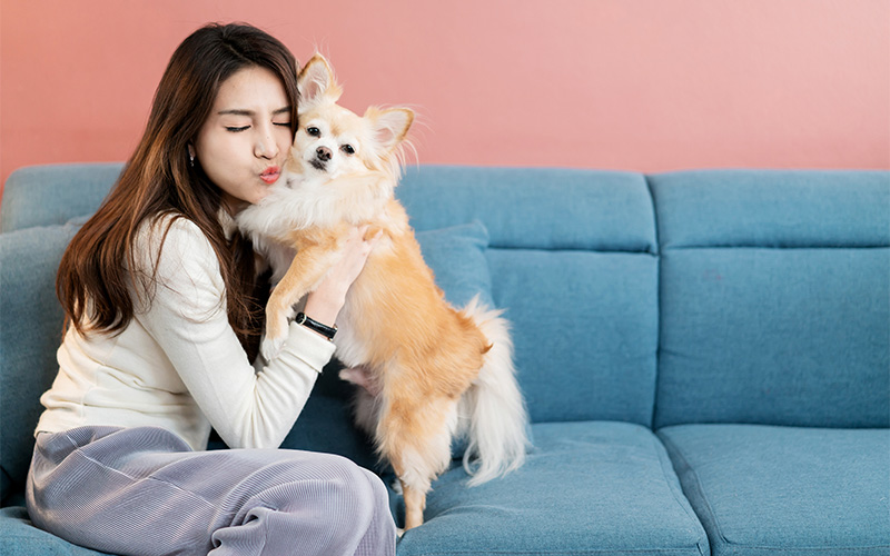 a woman sitting on a chair along with her dog