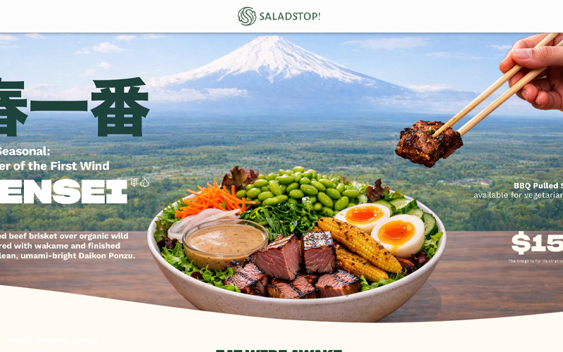Screenshot of SaladStop! website page